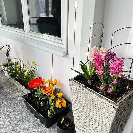 Apartment Luxury Service By Chanya